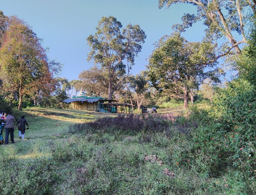 Sathyamangalam Tiger Reserve景点图片