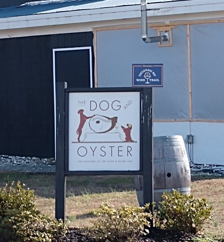 The Dog and Oyster Vineyard Micro-Vineyard and Oyster Bar景点图片