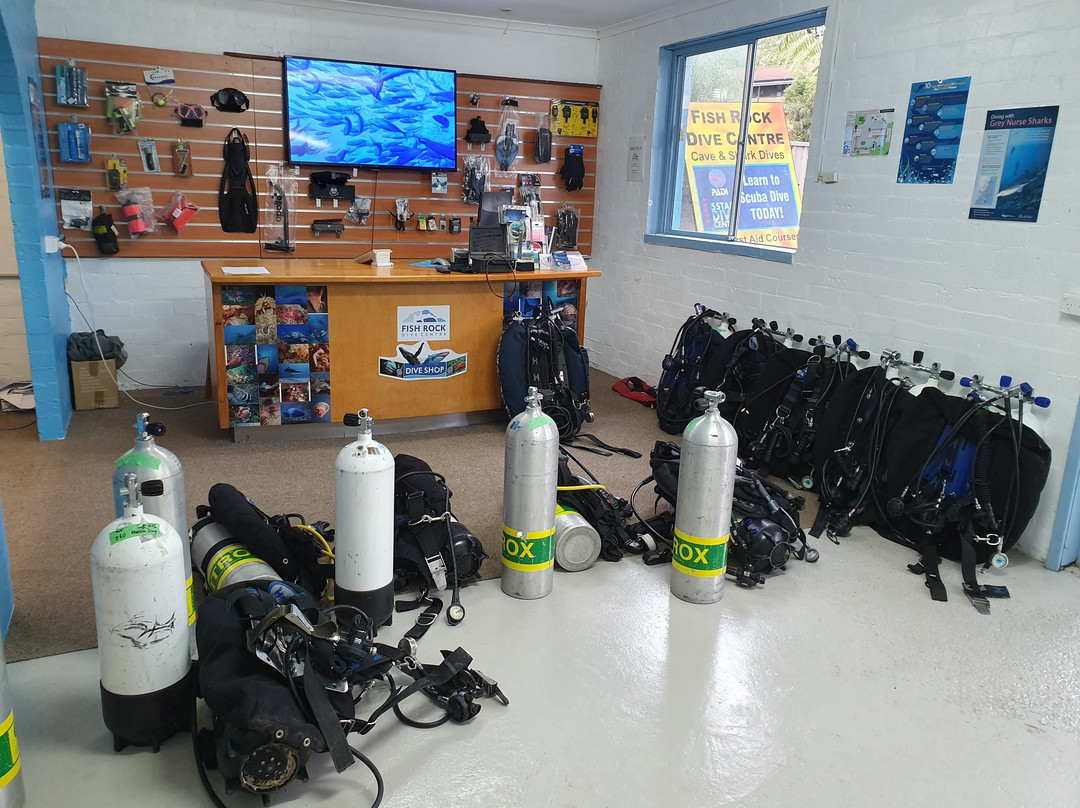 Fish Rock Dive Centre-西南岩必去景点