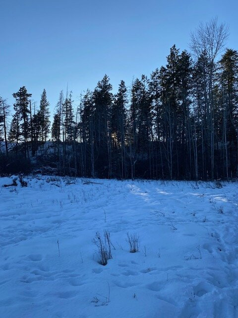 Buffalo Head Park-卡利斯佩尔必去景点