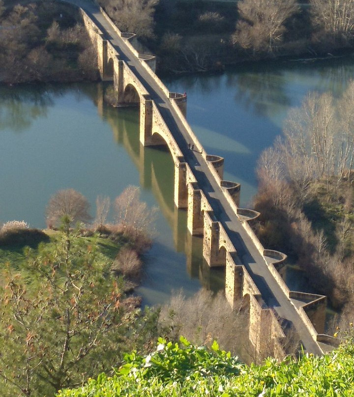 Puente Medieval景点图片