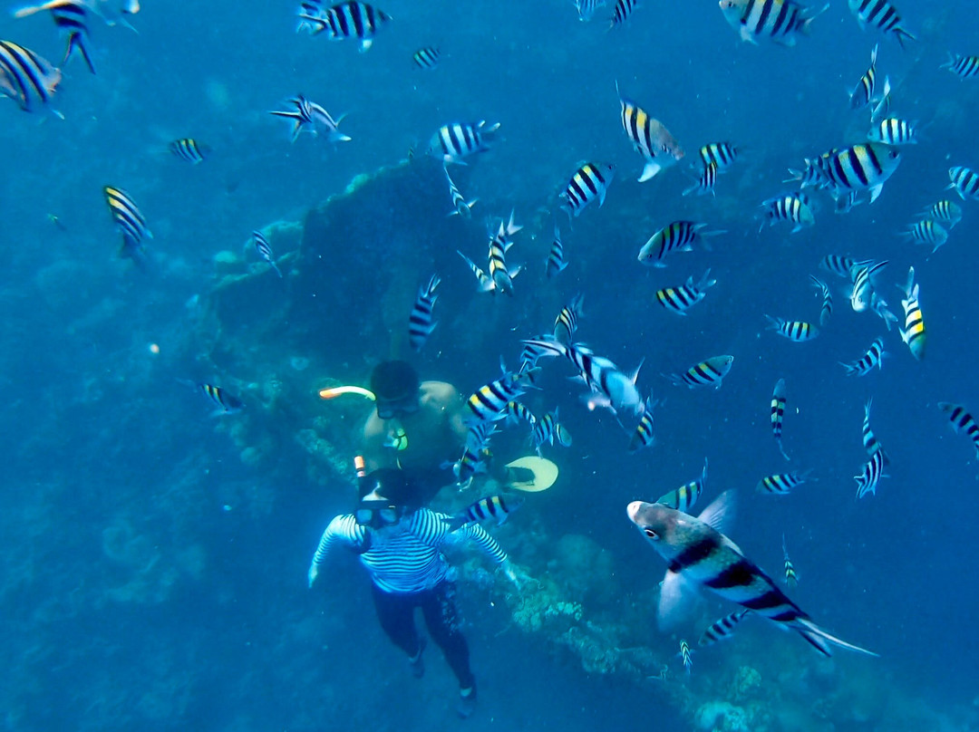 Sunken Japanese Wrecks-科隆必去景点