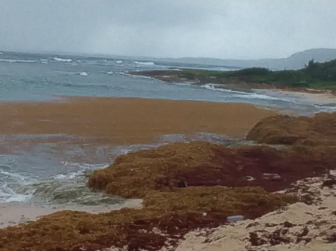 La Plage De L'anse Maurice-Petit-Canal必去景点