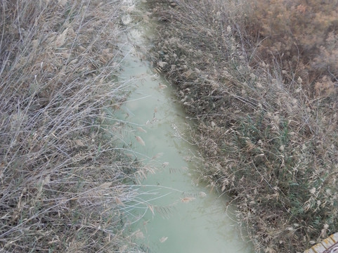 Habesor River Suspension Bridge-Tze'elim必去景点