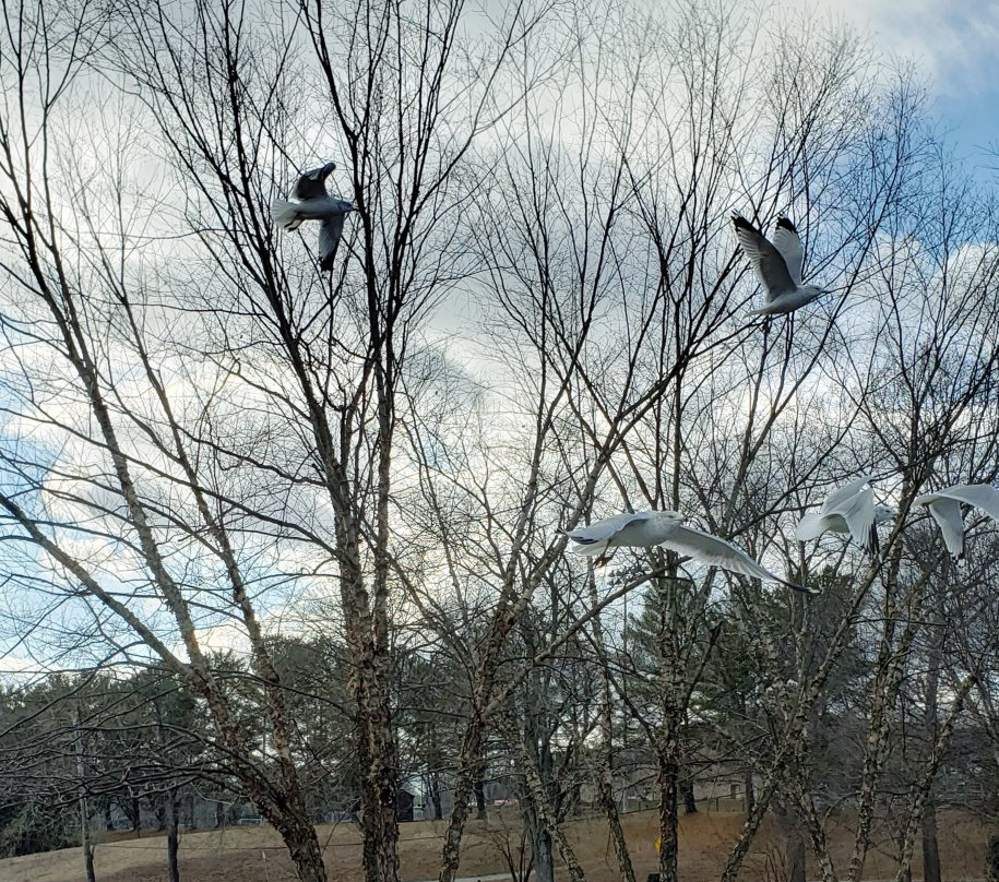 Bynum Run Park-Bel Air必去景点