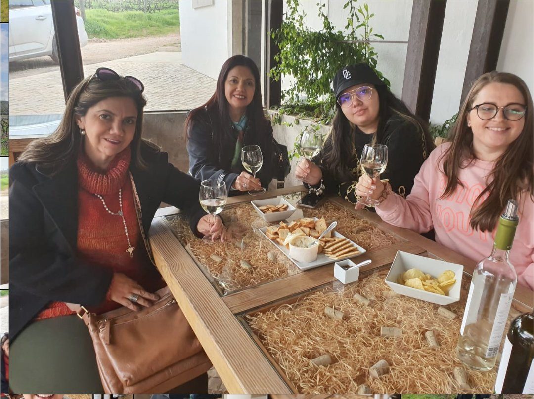 Quinta do Alcube景点图片