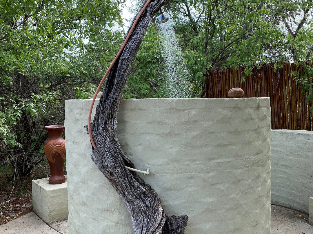 希克瓦利丛林旅舍主图