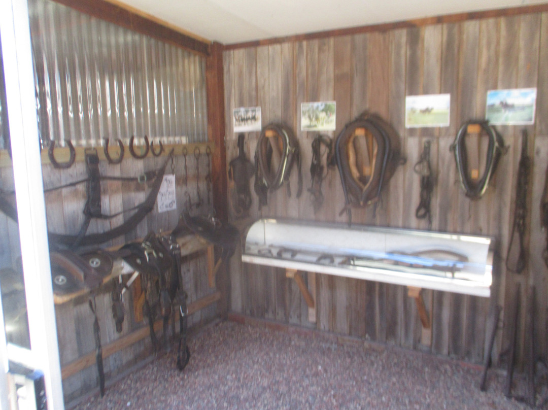 Echuca Historical Society Museum景点图片