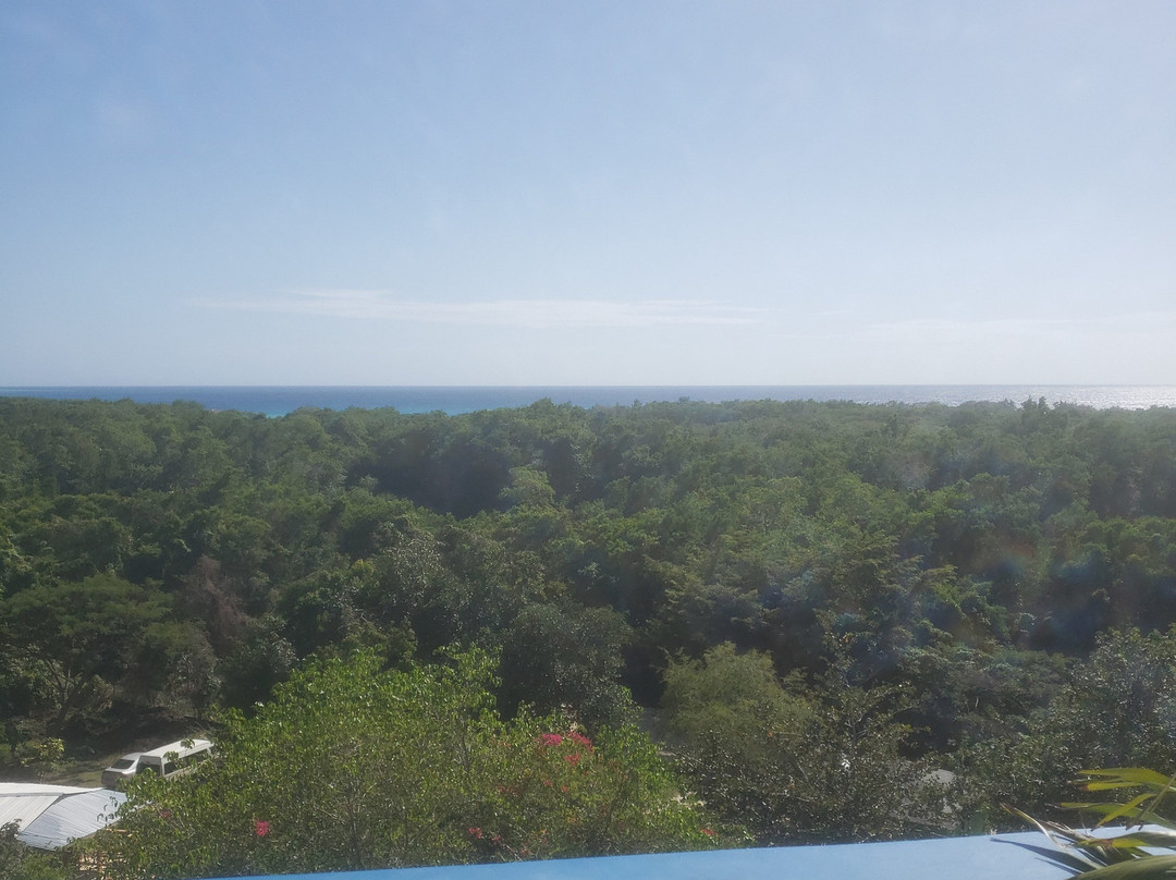 Blue Hole Mineral Spring主图