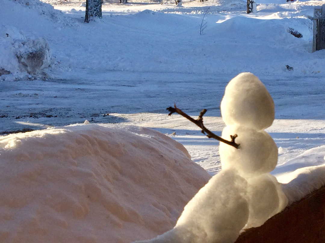 Americas Best Value Inn Marquette主图