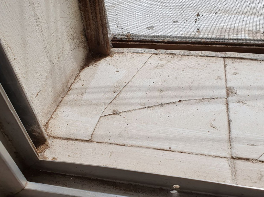 Gran Hotel Avenida主图