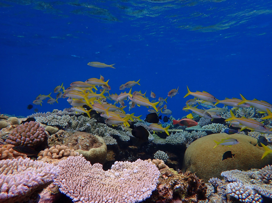 Les Pleiades Du Sud D’Ouvea-Ouvea必去景点