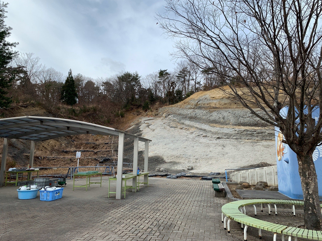 Iwaki City Ammonite Center-盘城市必去景点