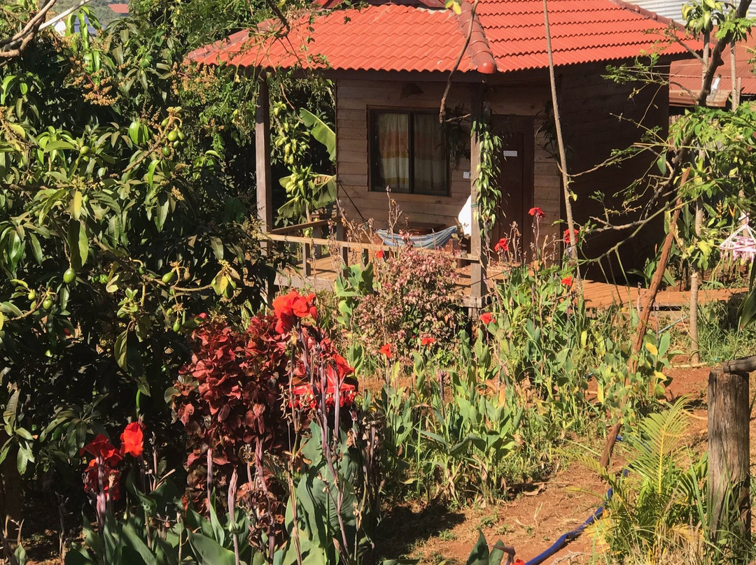 Family House & trekking Homestay主图