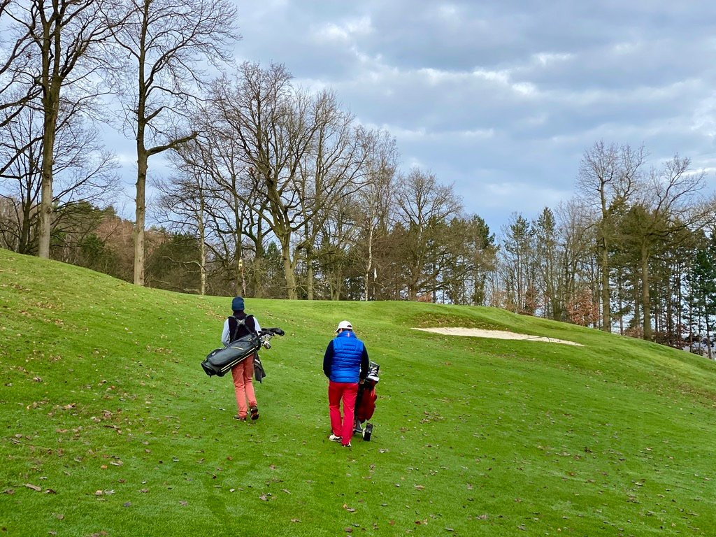 Golf du Bercuit景点图片
