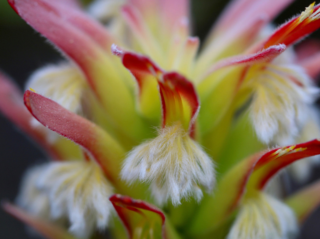 Nuwejaars Wetlands Guided Tours-Bredasdorp必去景点
