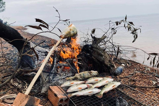 CTM Tour-胡志明市必去景点