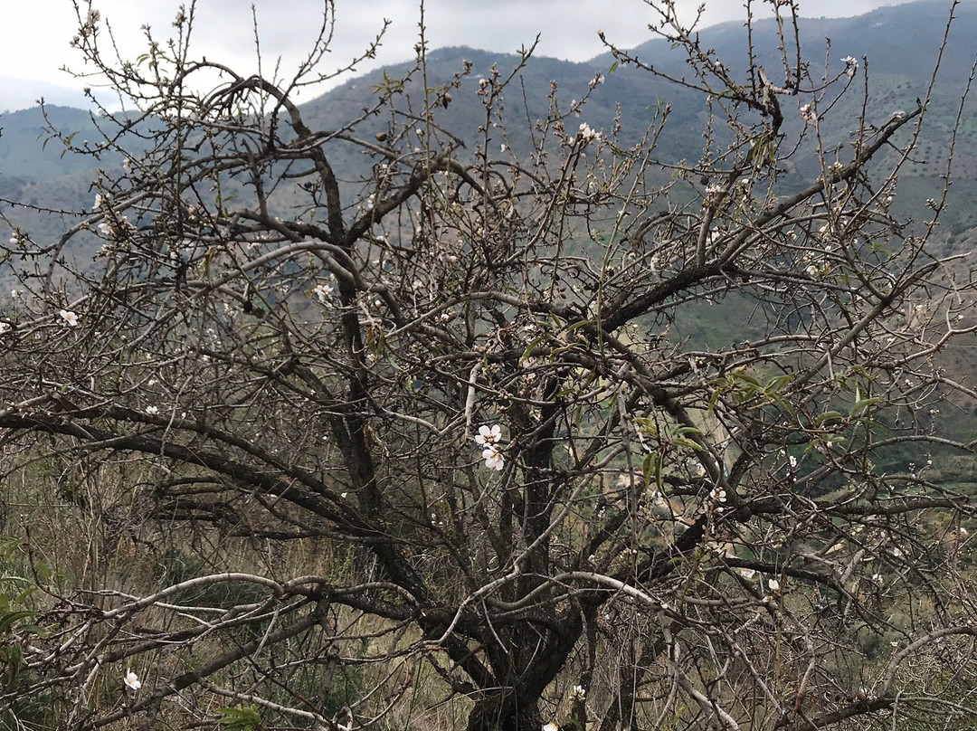 Fountainhead Retreat Hotel主图