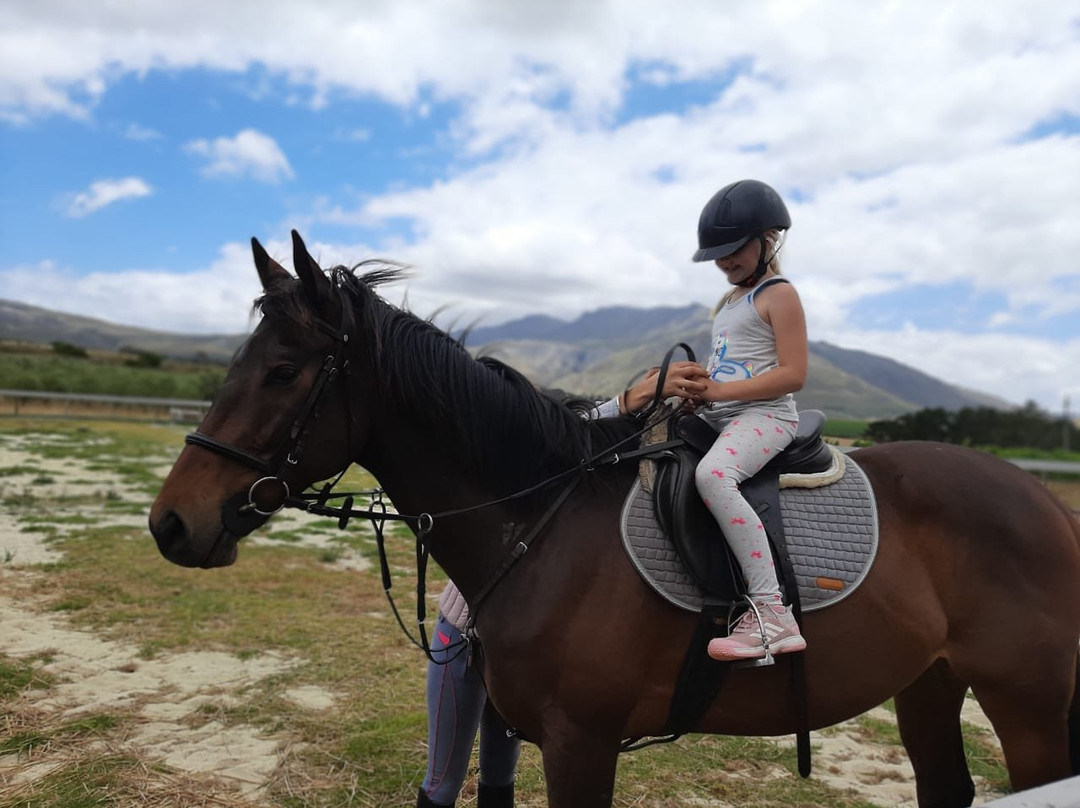 Home Grown SA Tours-小月必去景点