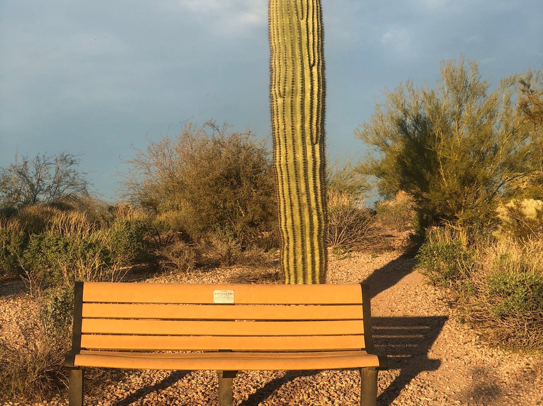 Veterans Oasis Park-钱德勒必去景点