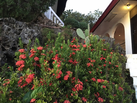 蓝星潜水度假村主图