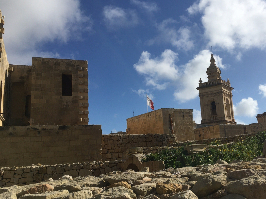 Amy's Guided Tours of Malta & Gozo景点图片