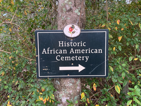 Audubon Swamp Garden, at Magnolia Plantation and Gardens-查尔斯顿必去景点