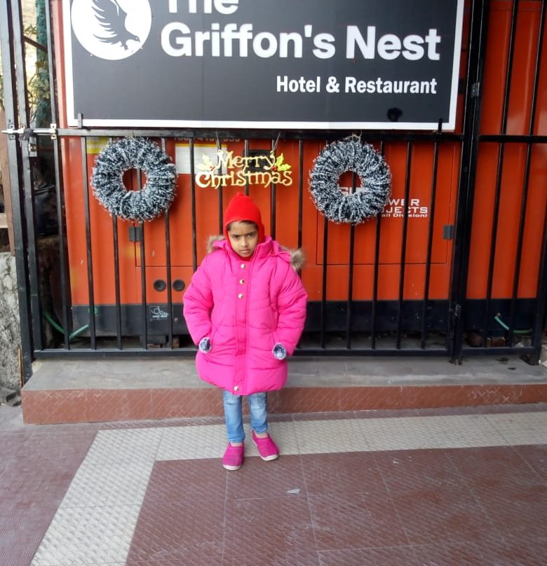 The Griffon's Nest主图