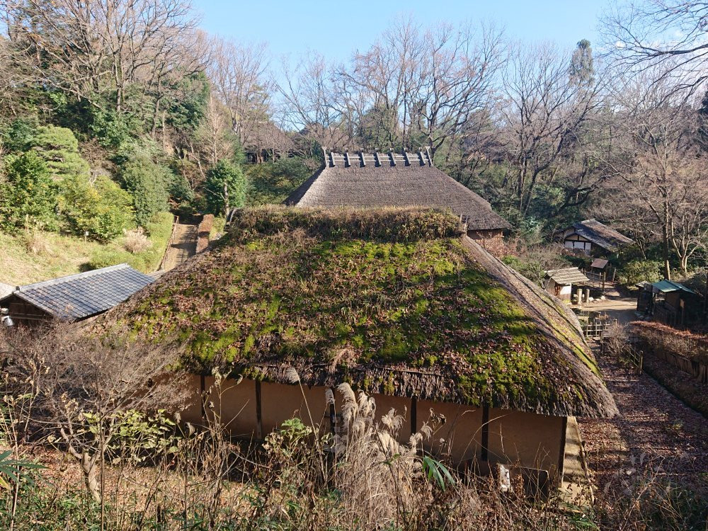 Nihon Minkaen Japan Open Air Folk House Museum景点图片