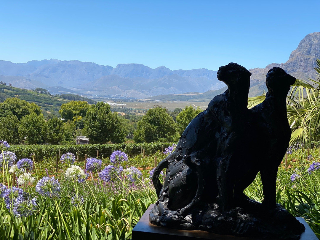 Stellenbosch Vineyards-斯泰伦博斯必去景点