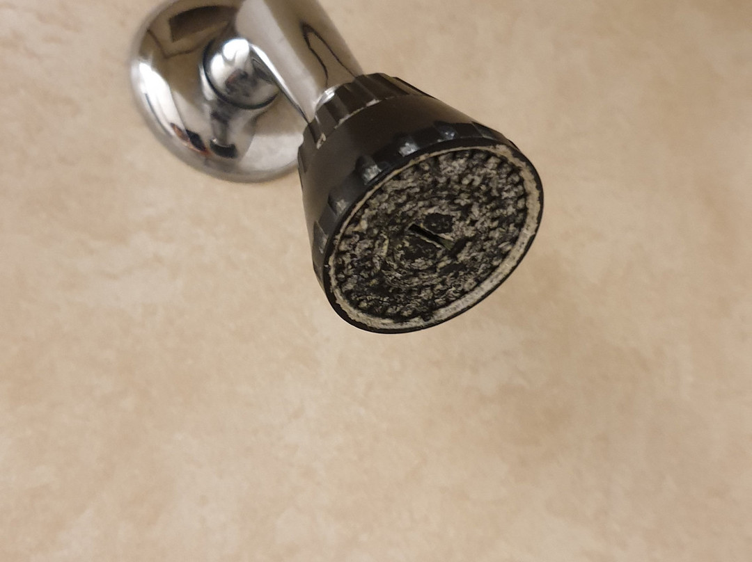 Fountain City Motor Inn主图