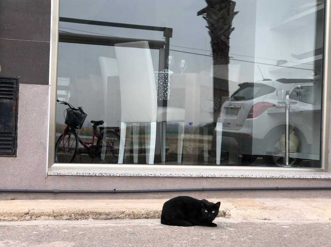 Doyoubike Rental-巴伦西亚必去景点