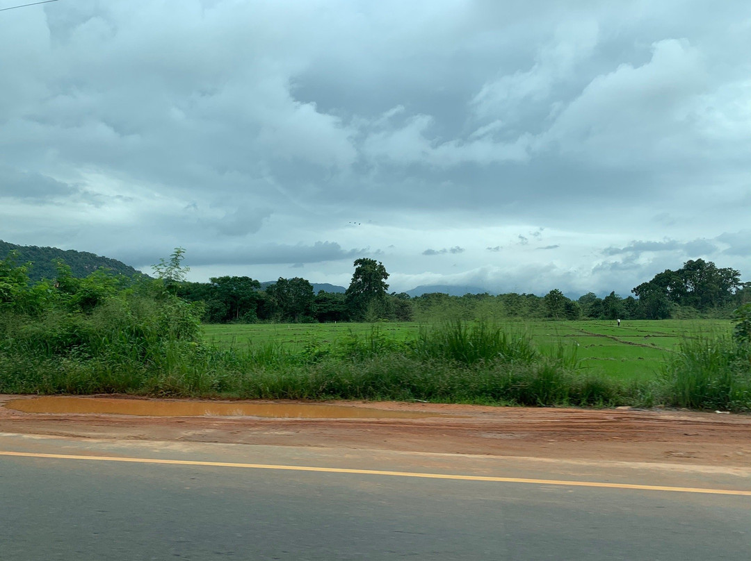 Personal Driver Srilanka-Kadawata必去景点