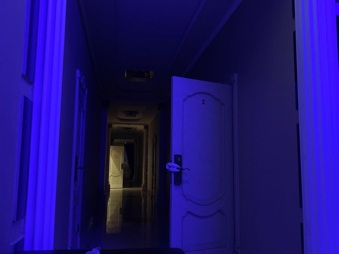Palazzo主图