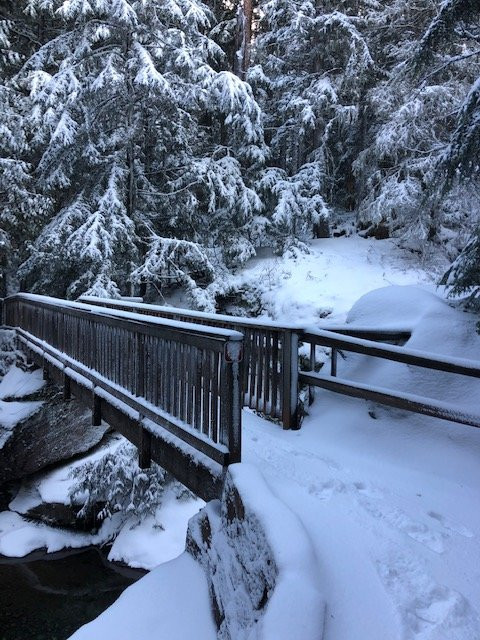 Trail of the Cedars-冰河国家公园必去景点