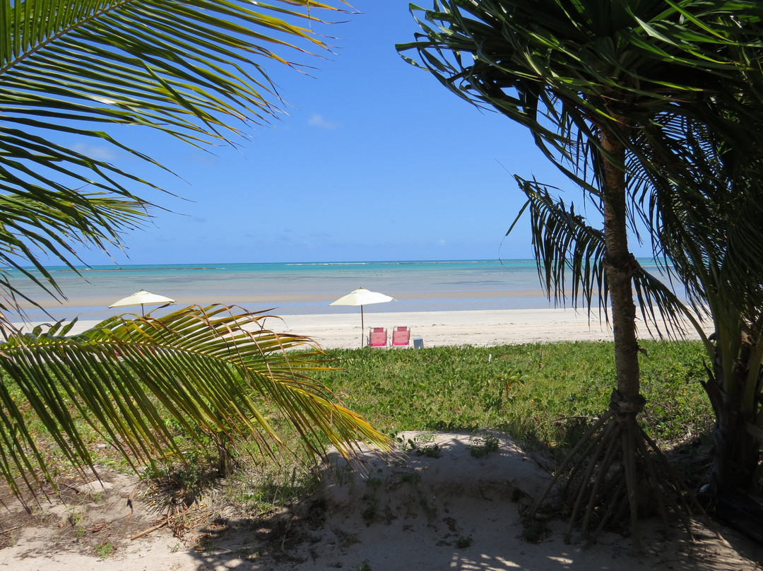 Pousada Origami主图