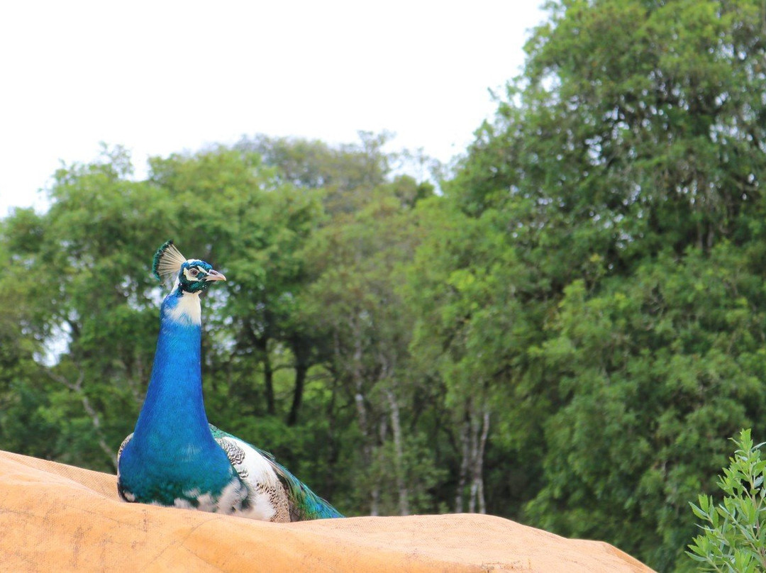 Refugio Monte Olimpo主图