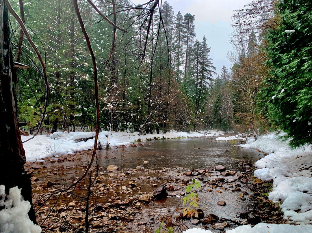 YExplore Yosemite Adventures - Day Tours景点图片