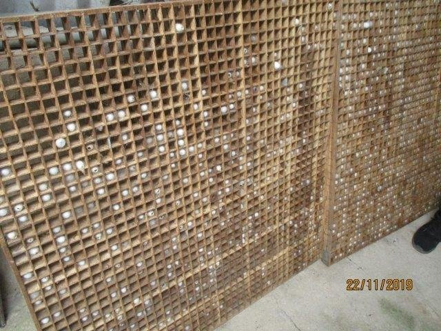 Thien An Cricket Farm-Lam Dong必去景点