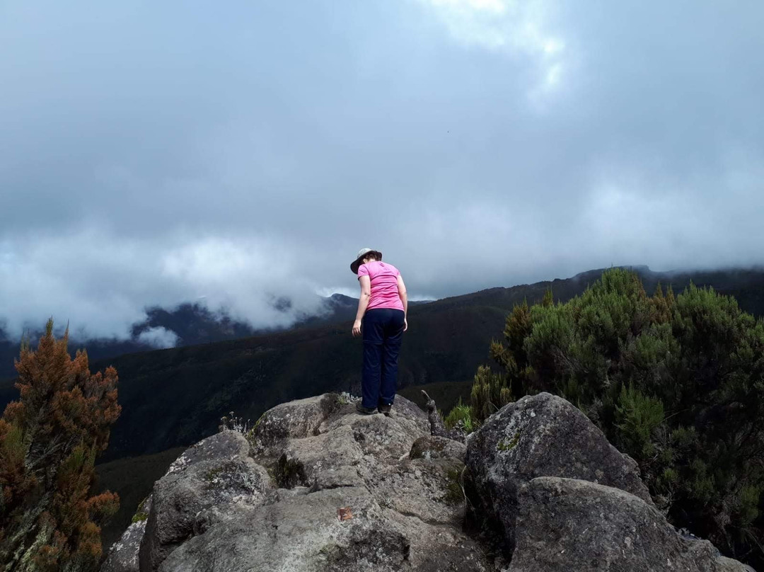 Tanzania Volunteers Ltd Day Tours-莫西必去景点