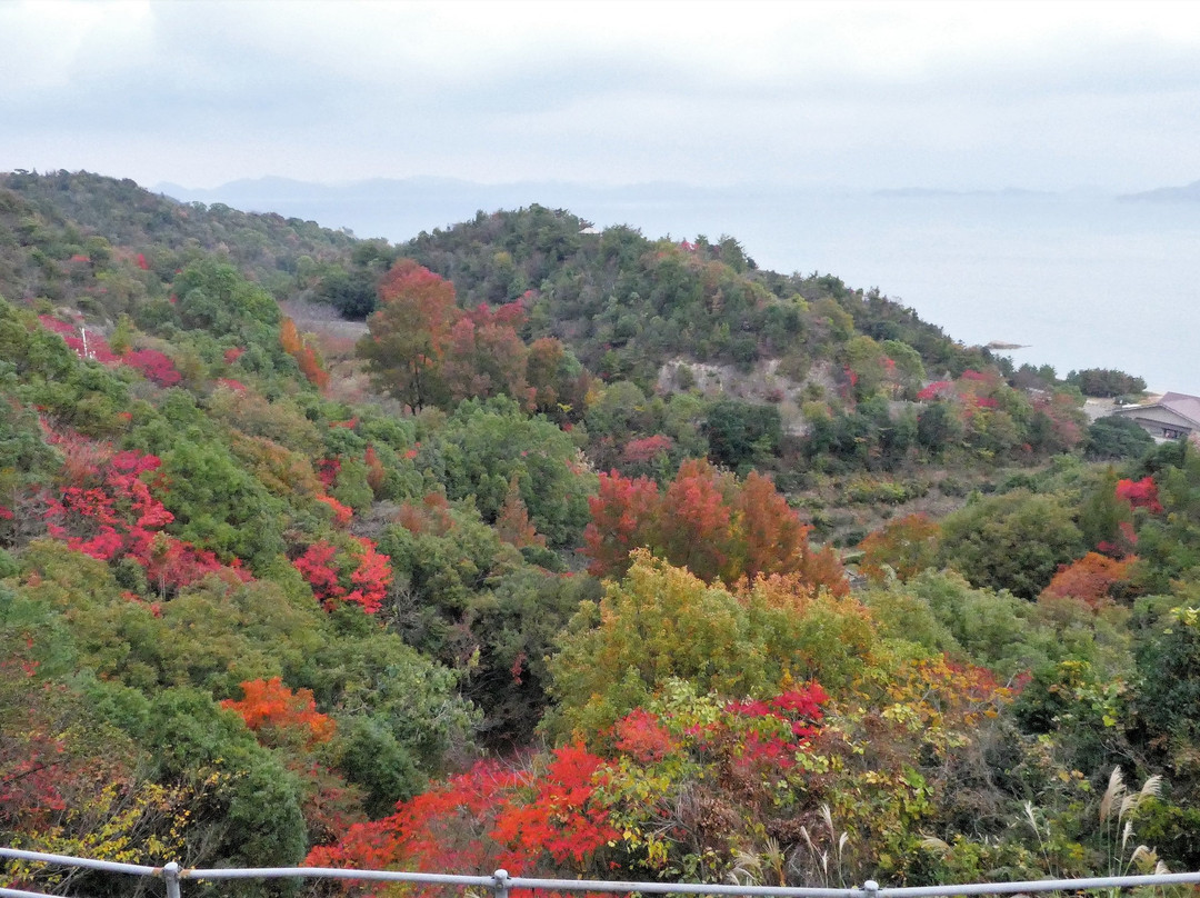 Kyukamura Setouchi Toyo主图