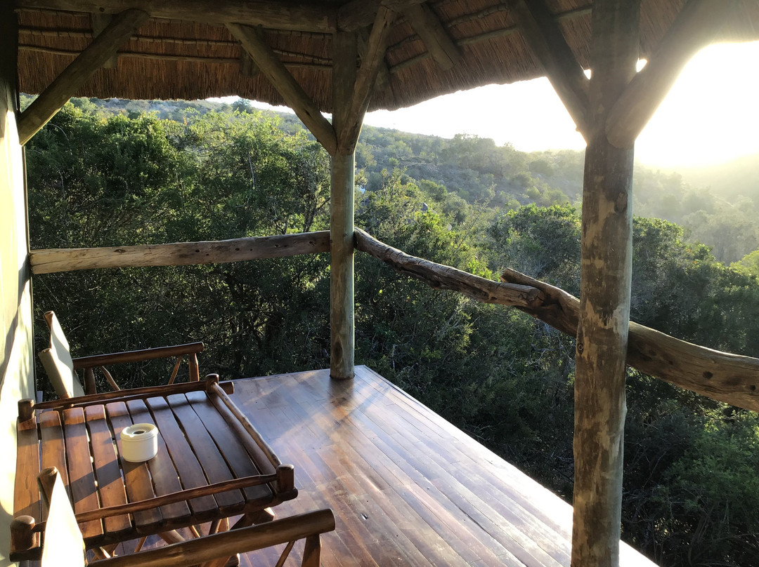 Lalibela Wildlife Reserve主图