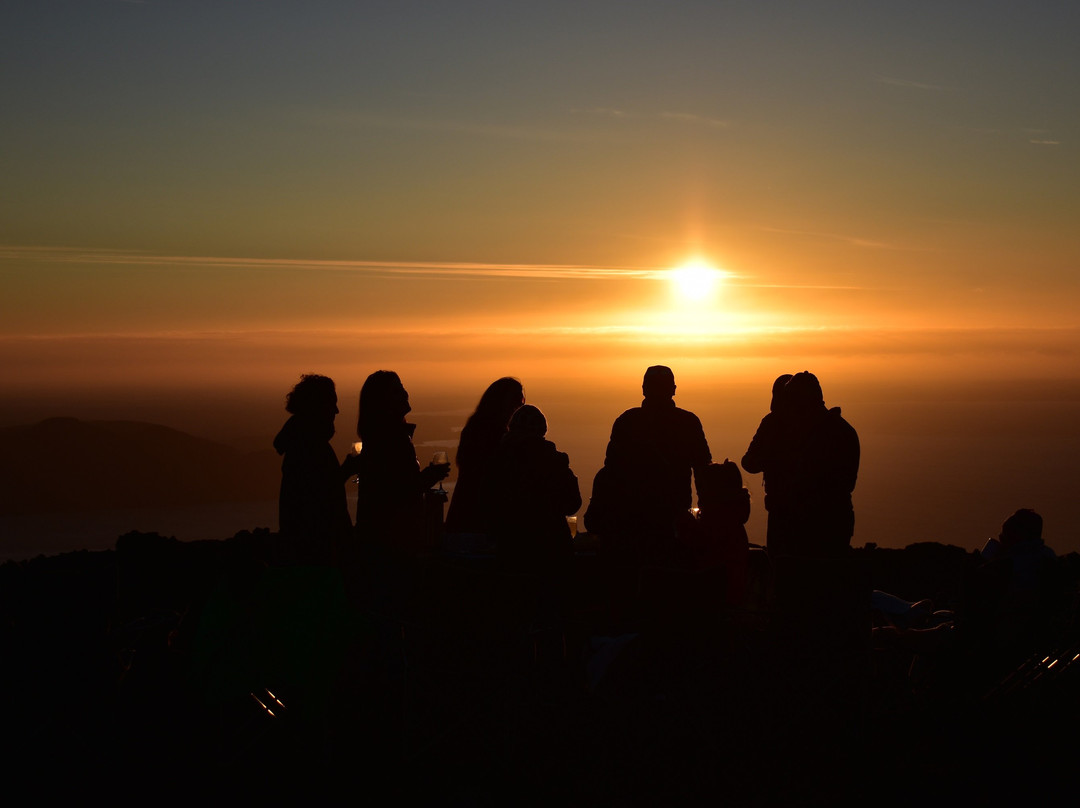 SouthernEx Chile-巴拉斯港必去景点