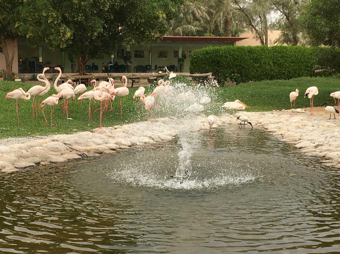 Al Areen Wildlife Park & Reserve-Zallaq必去景点