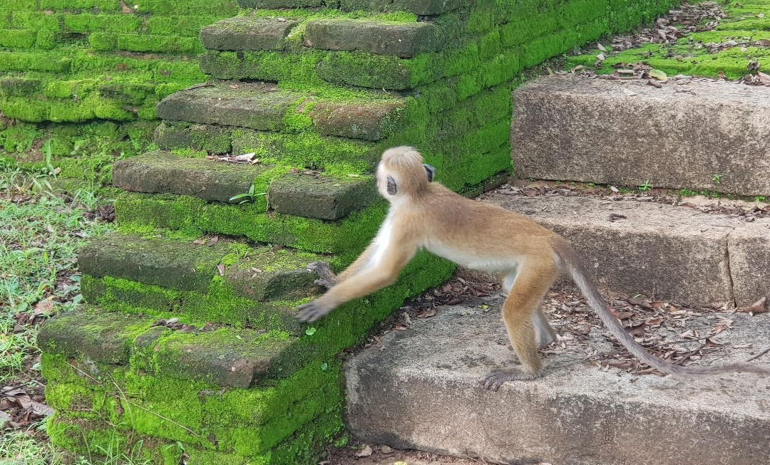 普赖米特中心旅馆主图