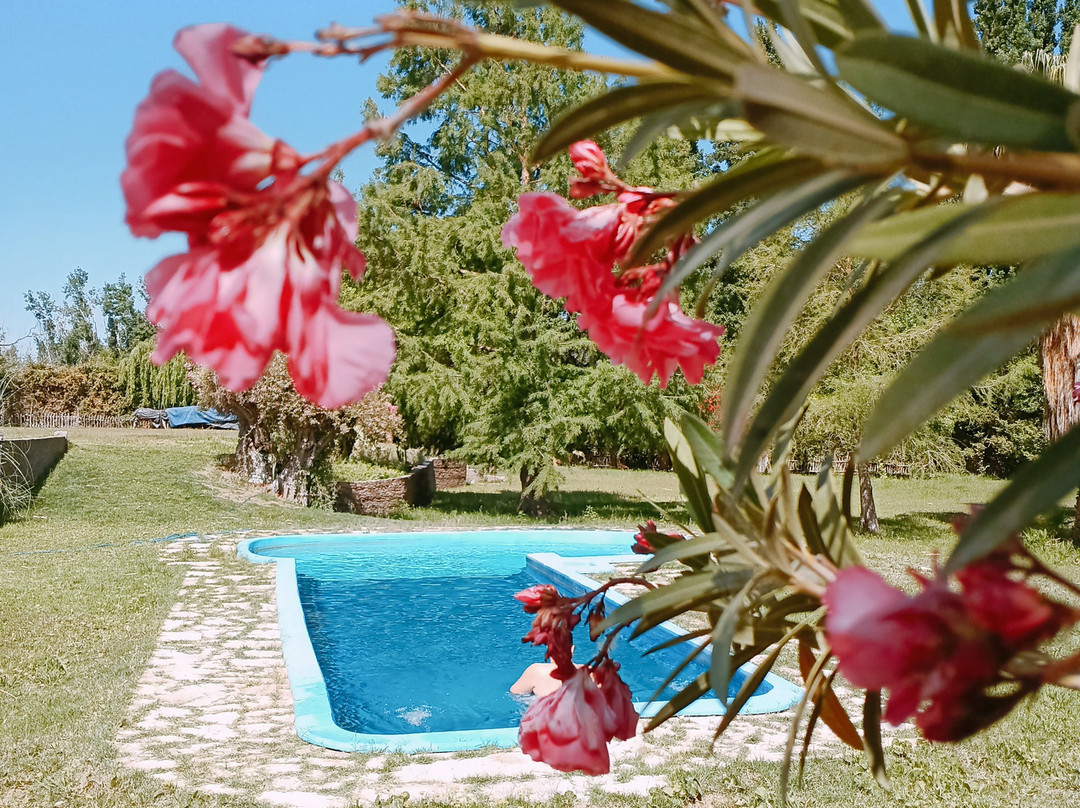 Pircas de Puyuta主图