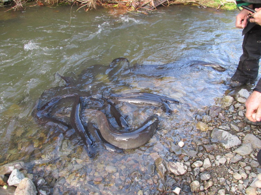 Battle Hill Farm Forest Park-Porirua必去景点