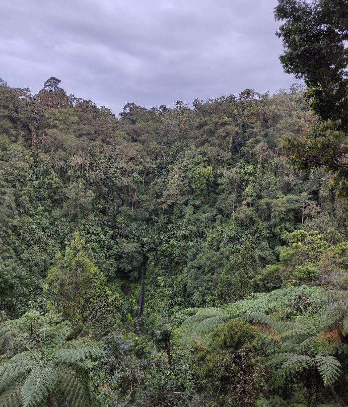 Pugad Viewing Deck-Bacolod必去景点