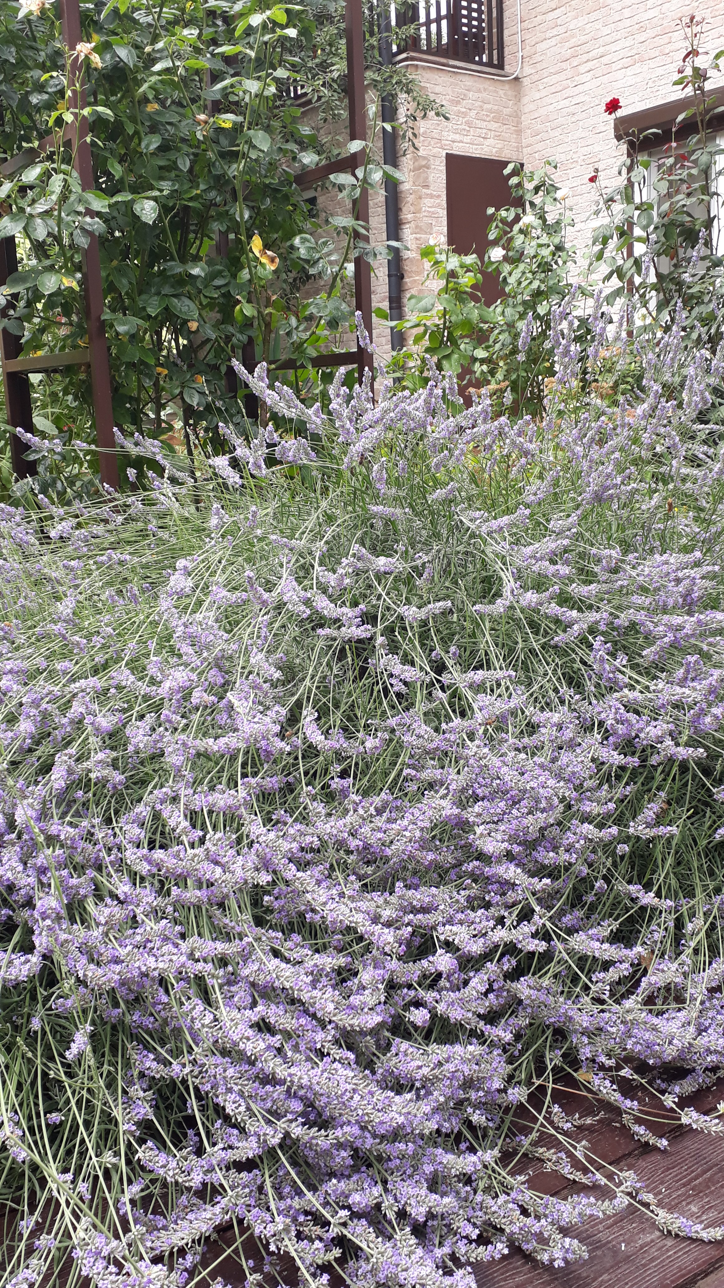 Azov Inn-酒店景观