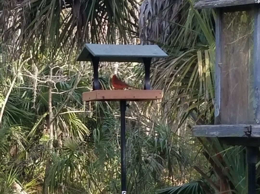 Felts Audubon Preserve-Palmetto必去景点